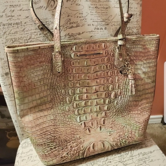 Brahmin Asher Atlas, NWT And Dustbag - Picture 2 of 6